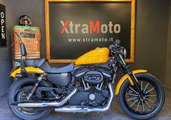 Harley-Davidson 883 Iron (2009 - 11) - XL 883N usata