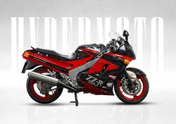 Kawasaki ZZR 1100 (1989 - 01) usata