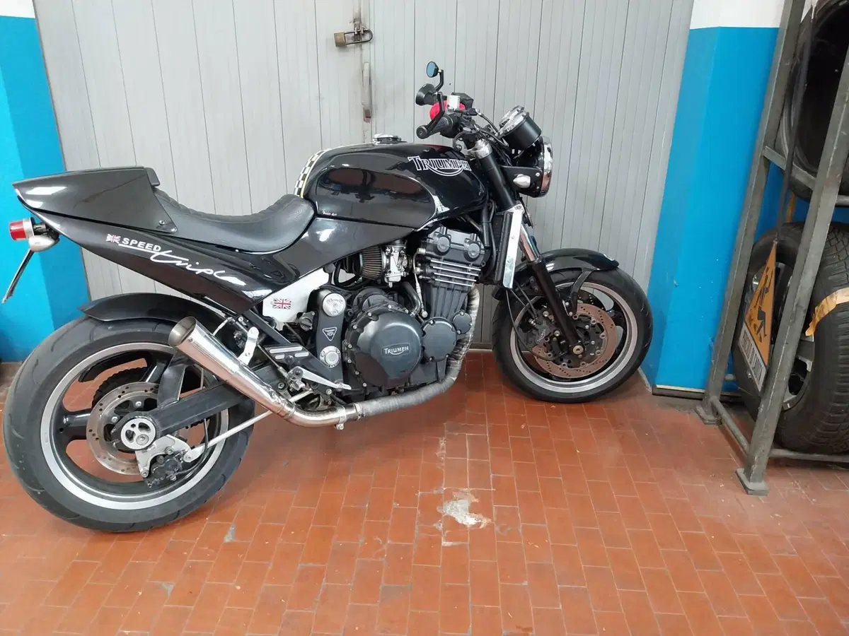 Triumph Speed Triple 900 (1993 - 02) (11)