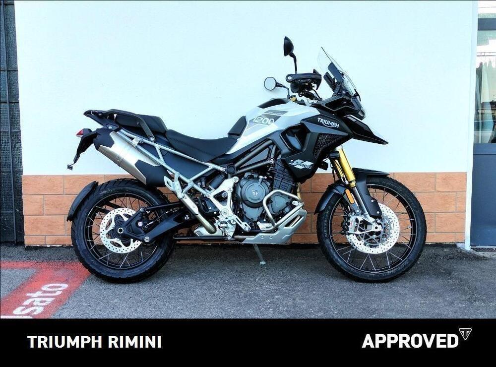 Triumph Tiger 1200 Rally Pro (2024 - 25) (4)