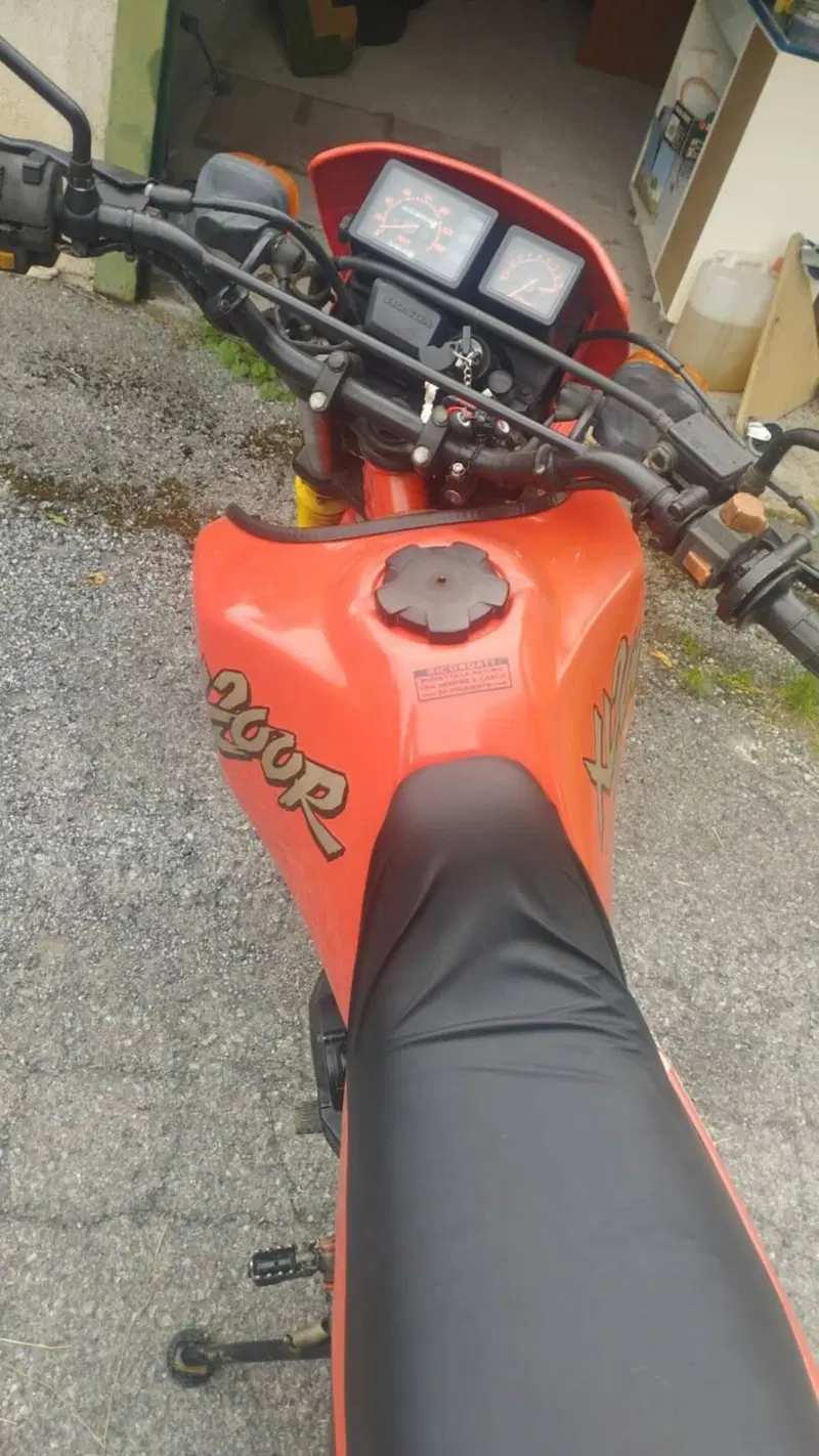 Honda XLR (7)