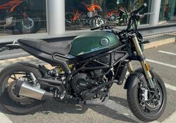 Benelli Leoncino 800 (2022 - 25) usata