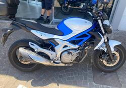 Suzuki Gladius 650 SFV (2009 - 15) usata