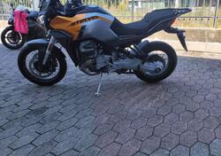 Moto Guzzi Stelvio (2024 - 25) usata