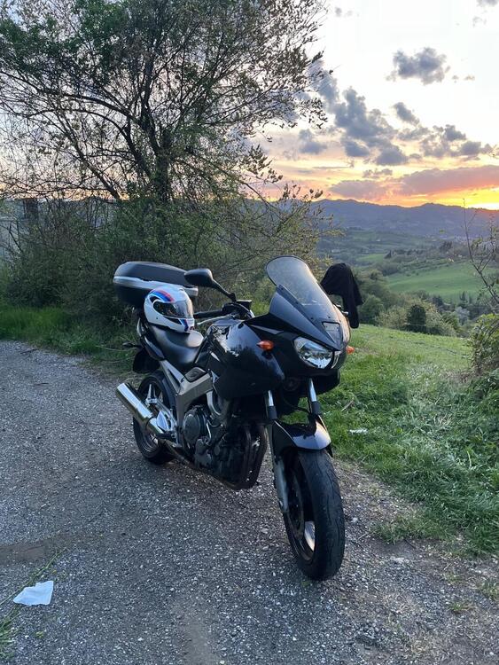 Yamaha TDM 900 (2002 - 14) (5)