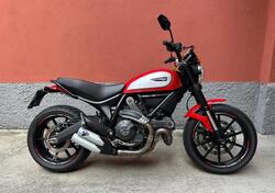 Ducati Scrambler 800 Icon (2015 - 16) usata