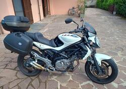 Suzuki Gladius 650 SFV (2009 - 15) usata
