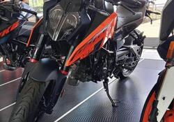 KTM 125 Duke (2024 - 25) usata