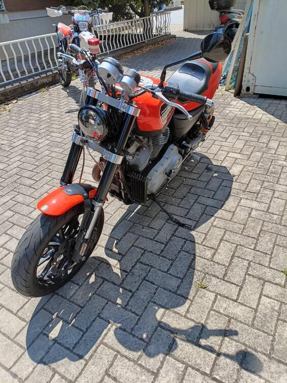 Harley-Davidson 1200 XR (2009 - 12)