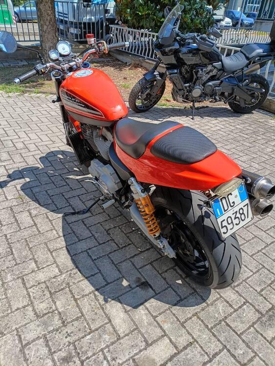 Harley-Davidson 1200 XR (2009 - 12) (3)