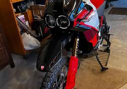 Ducati DesertX Rally (2024 - 25) usata