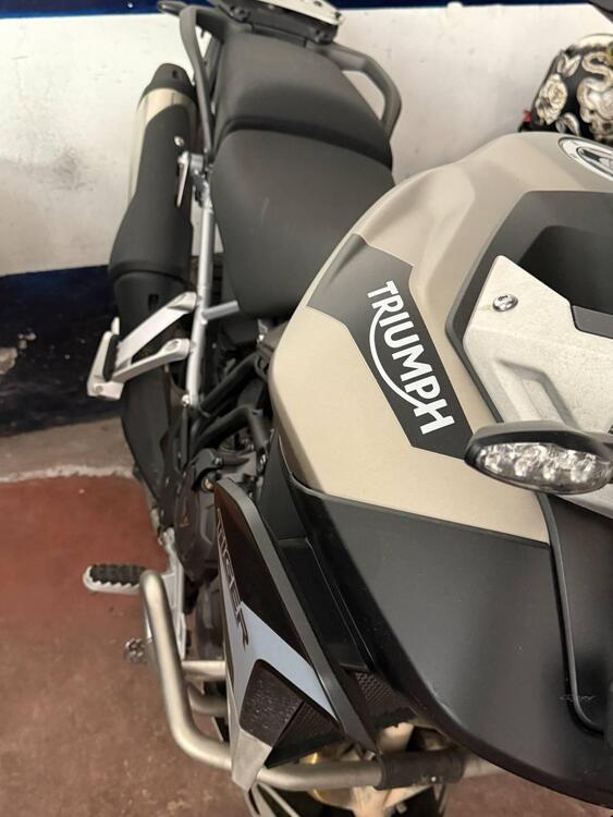 Triumph Tiger 900 Rally Pro (2020 - 23) (3)