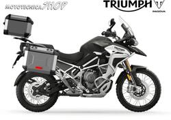 Triumph Tiger 1200 Rally Explorer (2024 - 25) usata