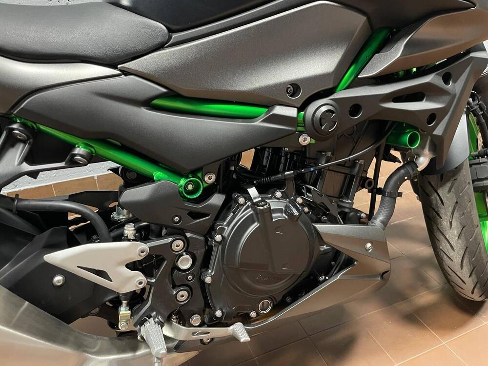 Kawasaki Z 500 SE (2024 - 26) (4)