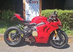 Ducati Panigale V4 S (2022 - 24) usata