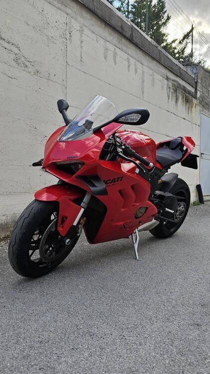 Ducati Panigale V4 (2022 - 24) (3)