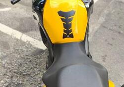 Kawasaki Versys 650 (2006 - 09) usata