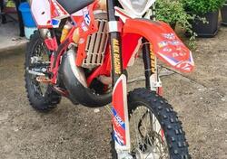 Betamotor RR 300 2T Enduro (2013) usata