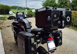 Triumph Tiger 1200 GT Pro (2022 - 23) usata