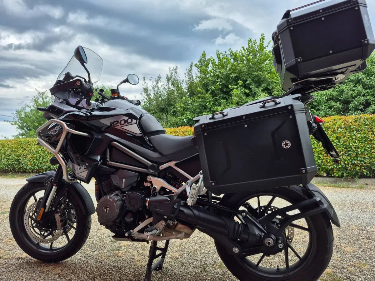 Triumph Tiger 1200 GT Pro (2022 - 23) (2)