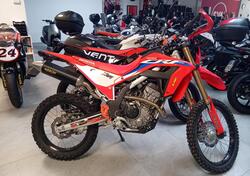 Honda CRF 300 L (2021 - 24) usata
