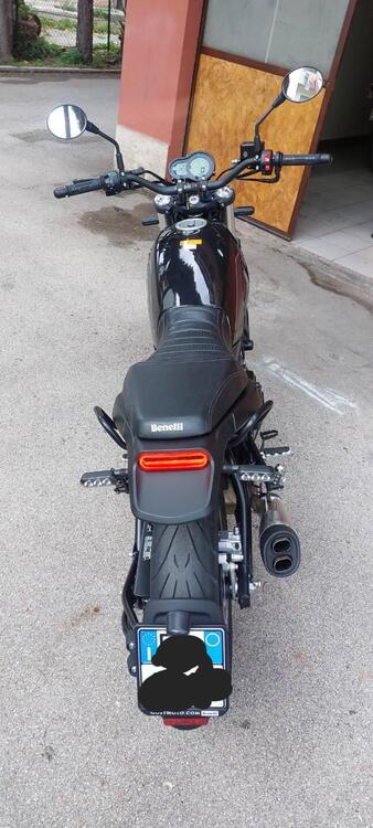 Benelli Leoncino 500 (2021 - 25) (3)