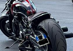 Harley-Davidson 1250 Night Rod Special (2008 - 17) - VRSCDX usata