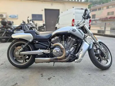 Harley-Davidson 1250 V-Rod Muscle (2009 - 17) - VRSCF usata