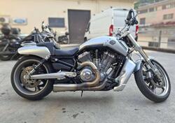 Harley-Davidson 1250 V-Rod Muscle (2009 - 17) - VRSCF usata