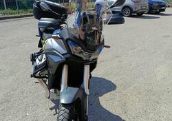Moto Guzzi Stelvio PFF (2024 - 25) usata