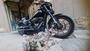Harley-Davidson 114 Low Rider S (2021) - FXLRS (9)