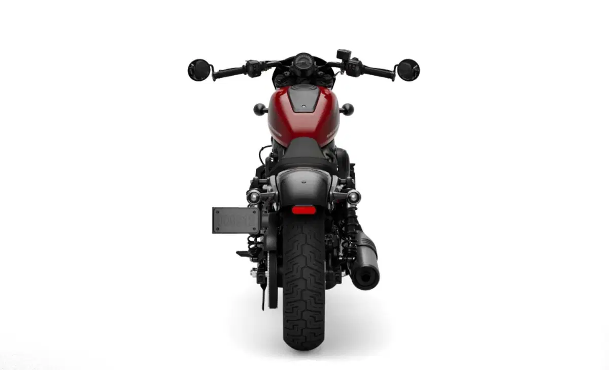 Harley-Davidson Sport Nightster (2023 - 26) (5)