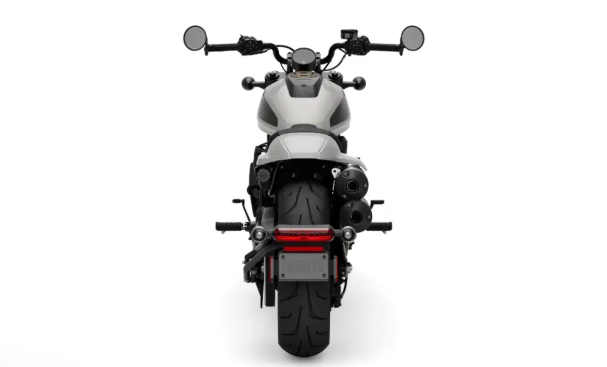 Harley-Davidson Sport Sportster S (2022 - 24) (4)