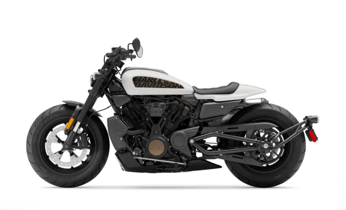 Harley-Davidson Sport Sportster S (2022 - 24) (6)