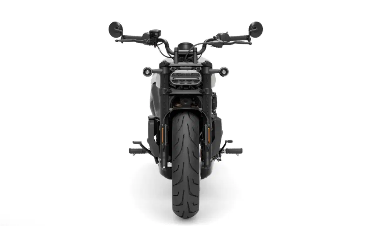 Harley-Davidson Sport Sportster S (2022 - 24) (8)