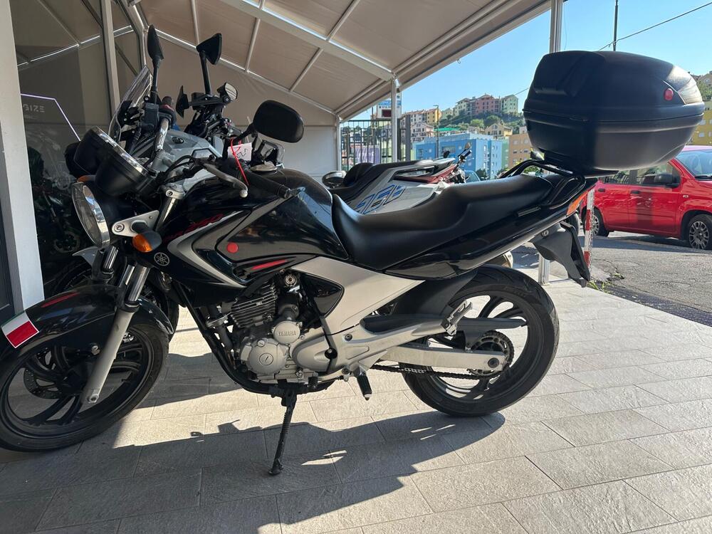 Yamaha YBR 250 (2006 - 13) (2)