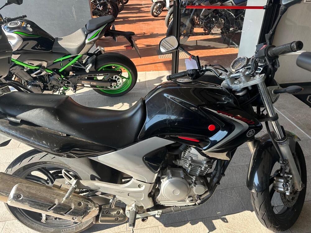 Yamaha YBR 250 (2006 - 13) (3)