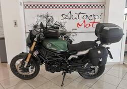 Benelli Leoncino 800 Trail (2022 - 25) usata