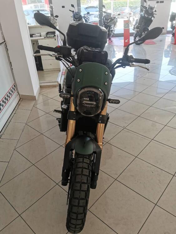 Benelli Leoncino 800 Trail (2022 - 25) (3)
