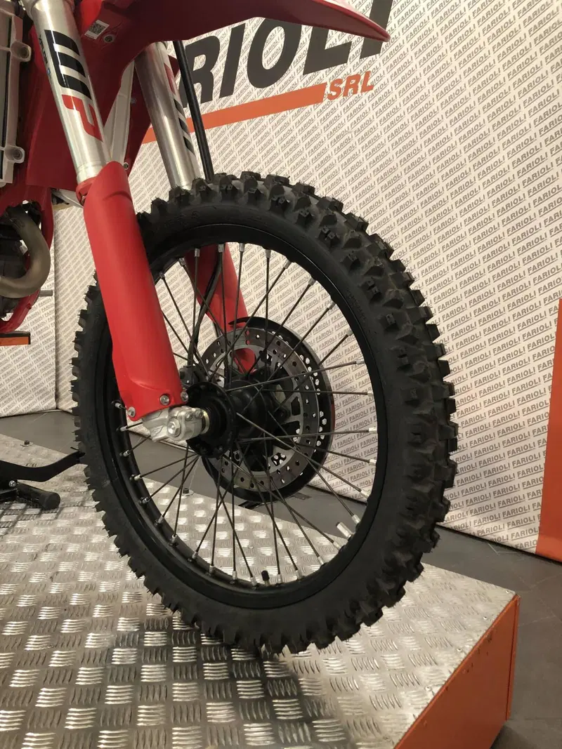 GASGAS EC 250 F (2023) (6)