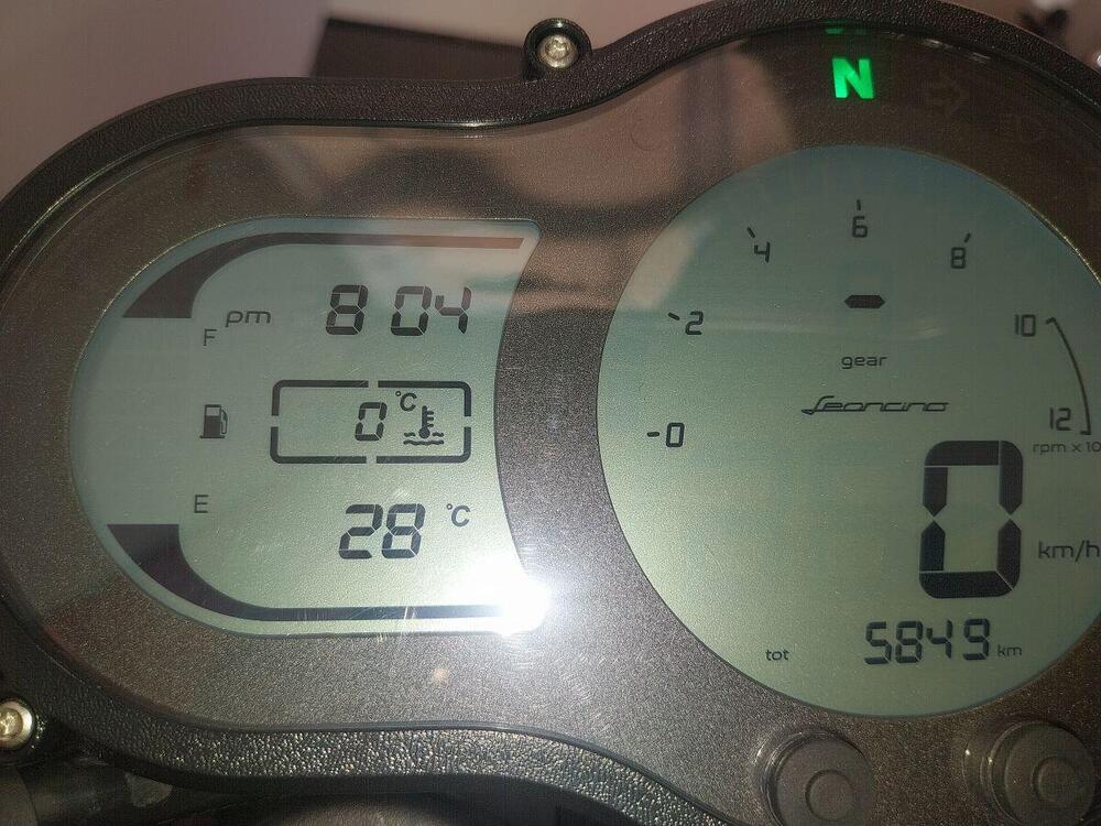 Benelli Leoncino 500 Trail (2021 - 25) (3)