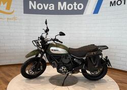 Ducati Scrambler 800 Flat Track Pro (2016 - 17) usata