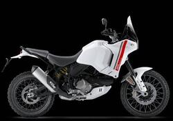Ducati DesertX (2022 - 25) usata