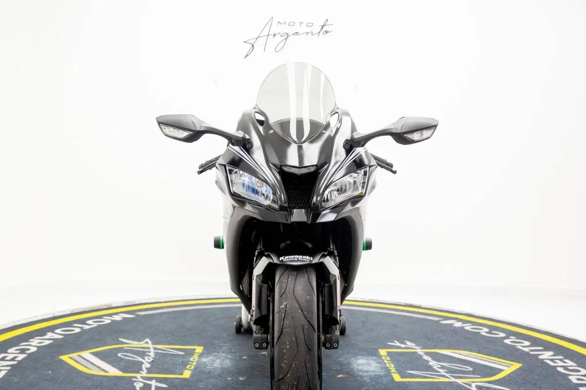 Kawasaki Ninja 1000 ZX-10RR (2017 - 18) (8)