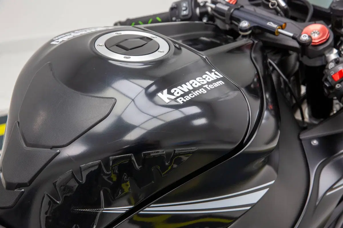 Kawasaki Ninja 1000 ZX-10RR (2017 - 18) (15)
