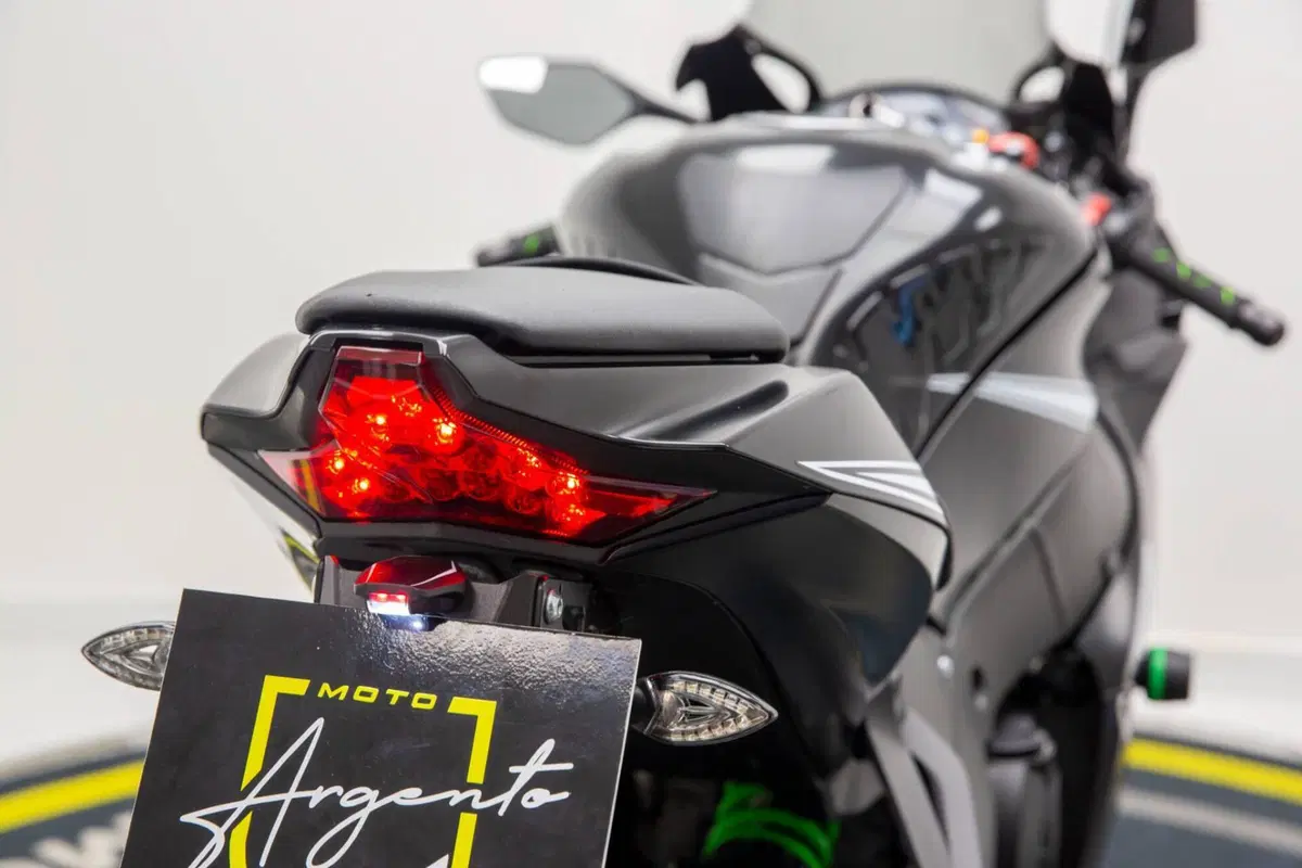 Kawasaki Ninja 1000 ZX-10RR (2017 - 18) (17)