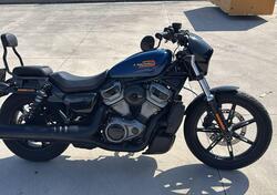 Harley-Davidson Nightster (2023 - 25) usata