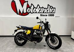 Royal Enfield Bear 650 (2025) usata