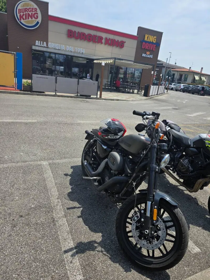 Harley-Davidson 1200 Roadster (2017 - 20) - XL 1200R (6)
