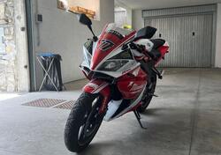 Yamaha YZF R125 (2008 -13) usata